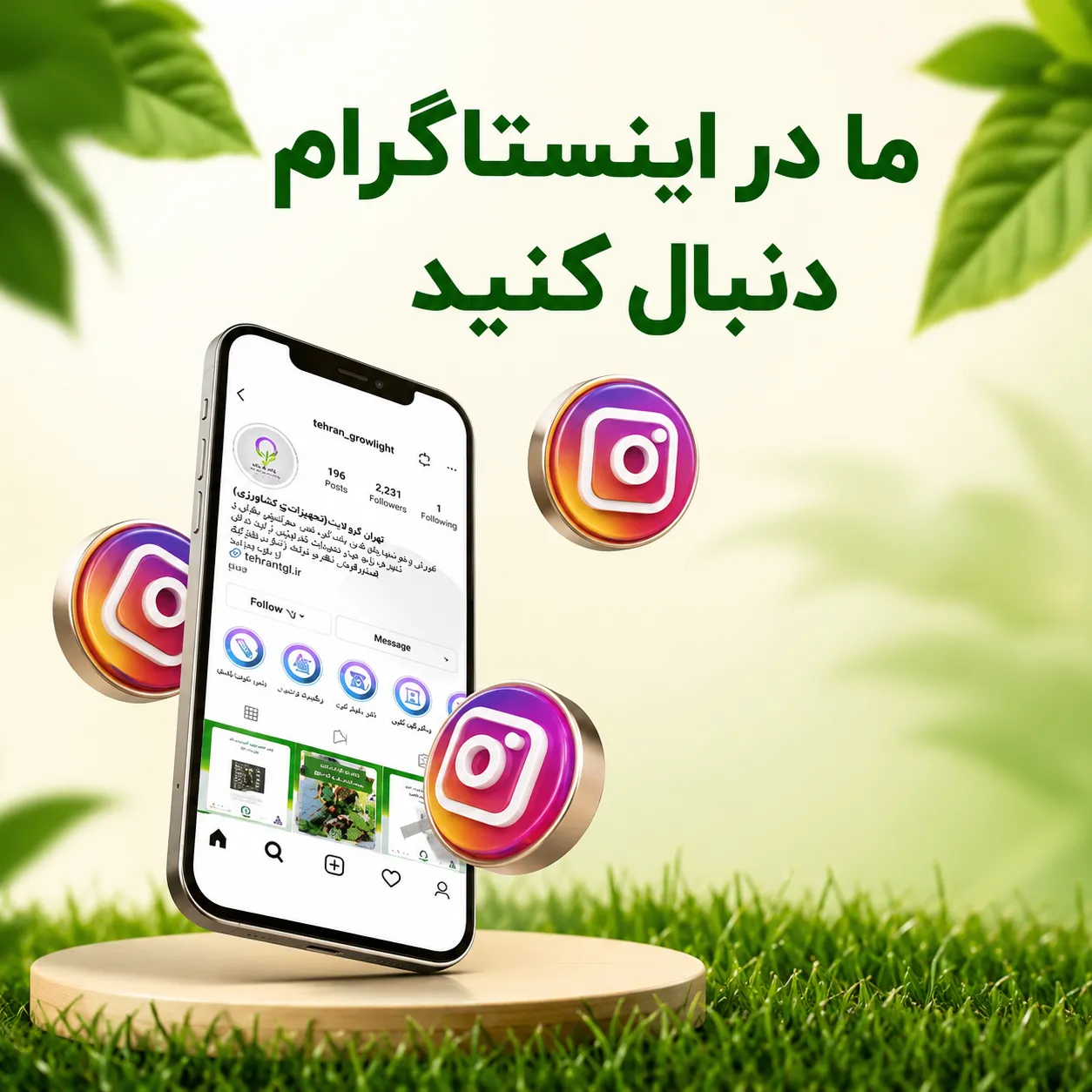 بنر صفحه اول تهران گرولایت - ما را در اینستاگرام دنبال کنید