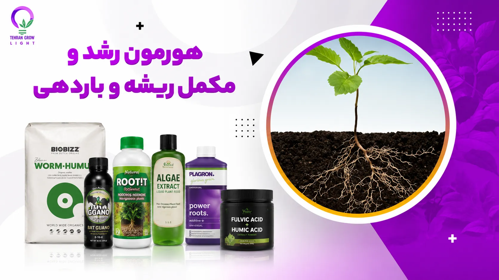 بنر صفحه اول تهران گرولایت - هورمون رشد و مکمل ریشه و رشد و باردهی