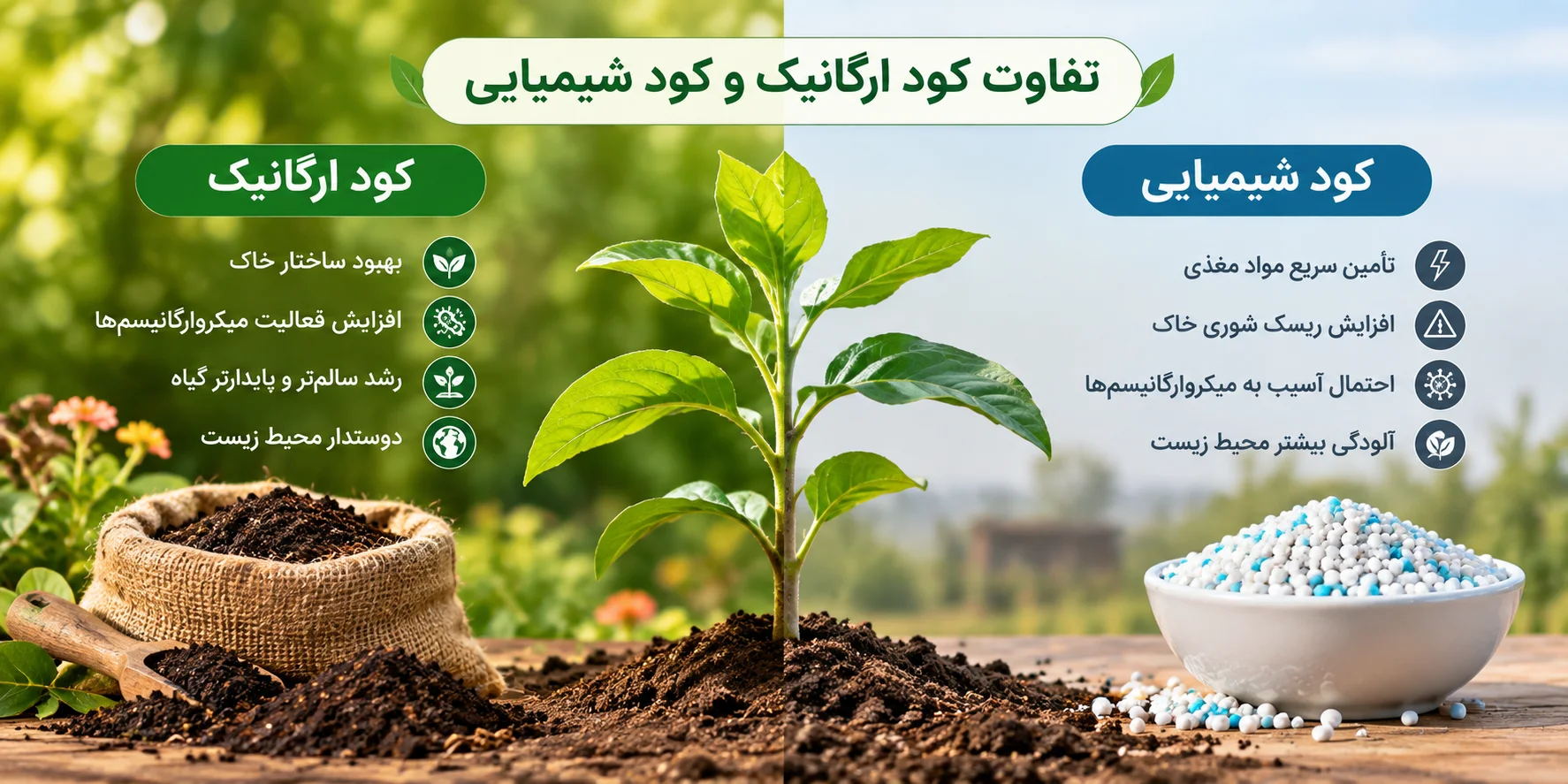 تفاوت کود ارگانیک و کود شیمیایی