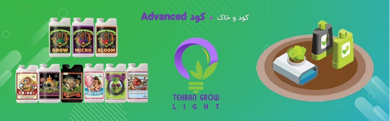 کود ادونس Advanced