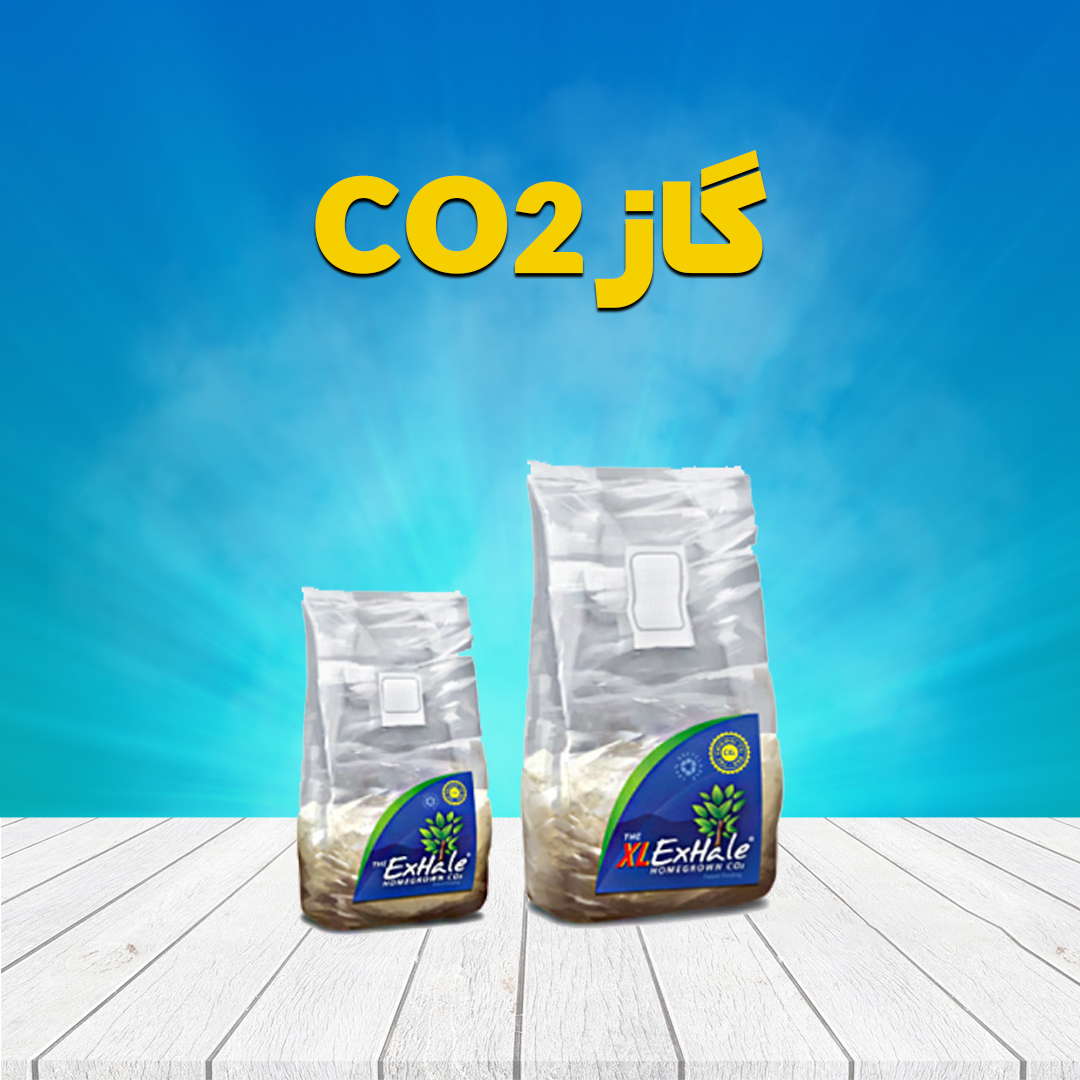 گاز CO2