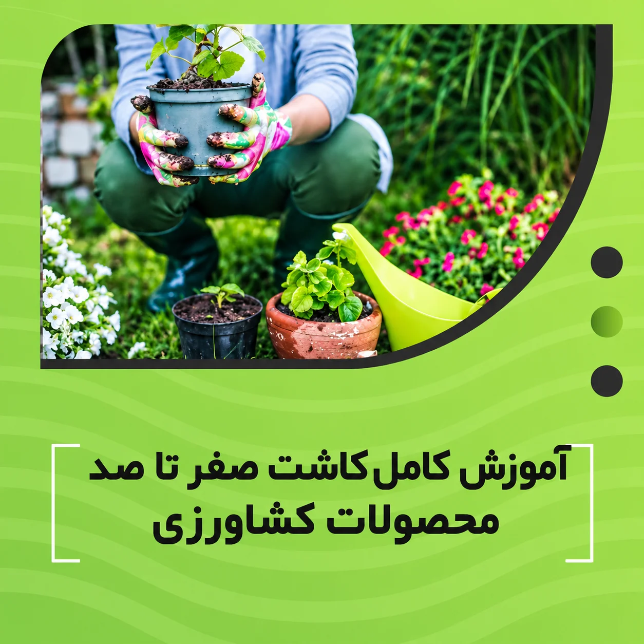 آموزش کامل کاشت صفر تا صد محصولات کشاورزی