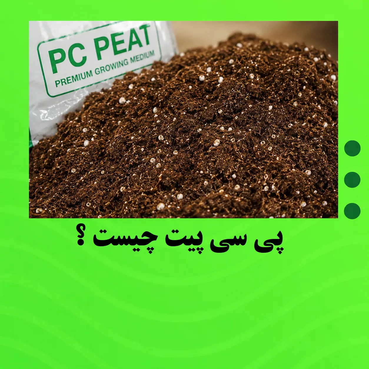 پی سی پیت (PC Peat) چیست؟ راهنمای کامل مزایا، کاربردها و نحوه استفاده برای گیاهان آپارتمانی