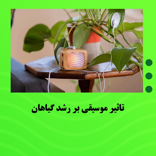 تاثیر موسیقی بر رشد گیاهان