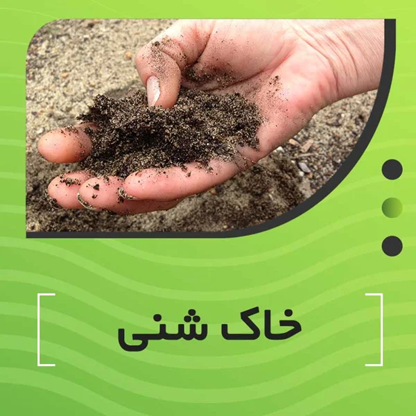 خاک شنی چیست؟ آشنایی با انواع خاک شنی