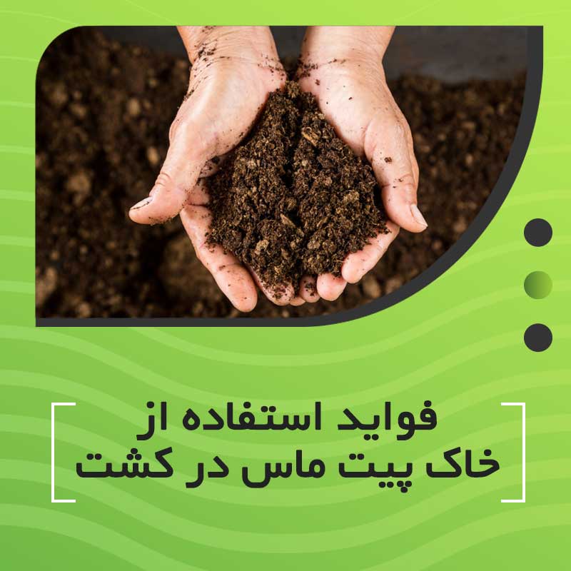 فواید استفاده از خاک پیت ماس در کشت