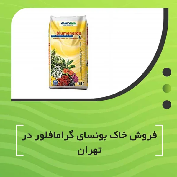 فروش خاک بونسای گرامافلور در تهران