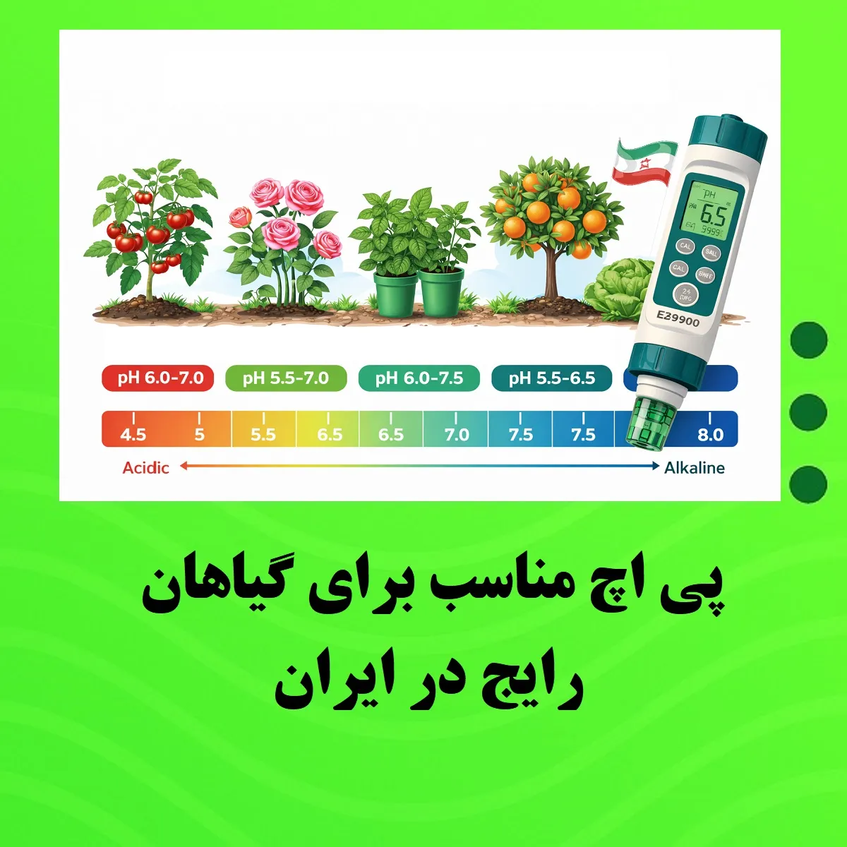 مقدار pH مناسب برای گیاهان رایج در ایران