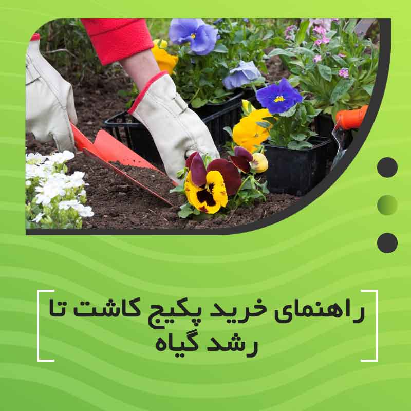 راهنمای خرید پکیج کاشت تا رشد گیاه