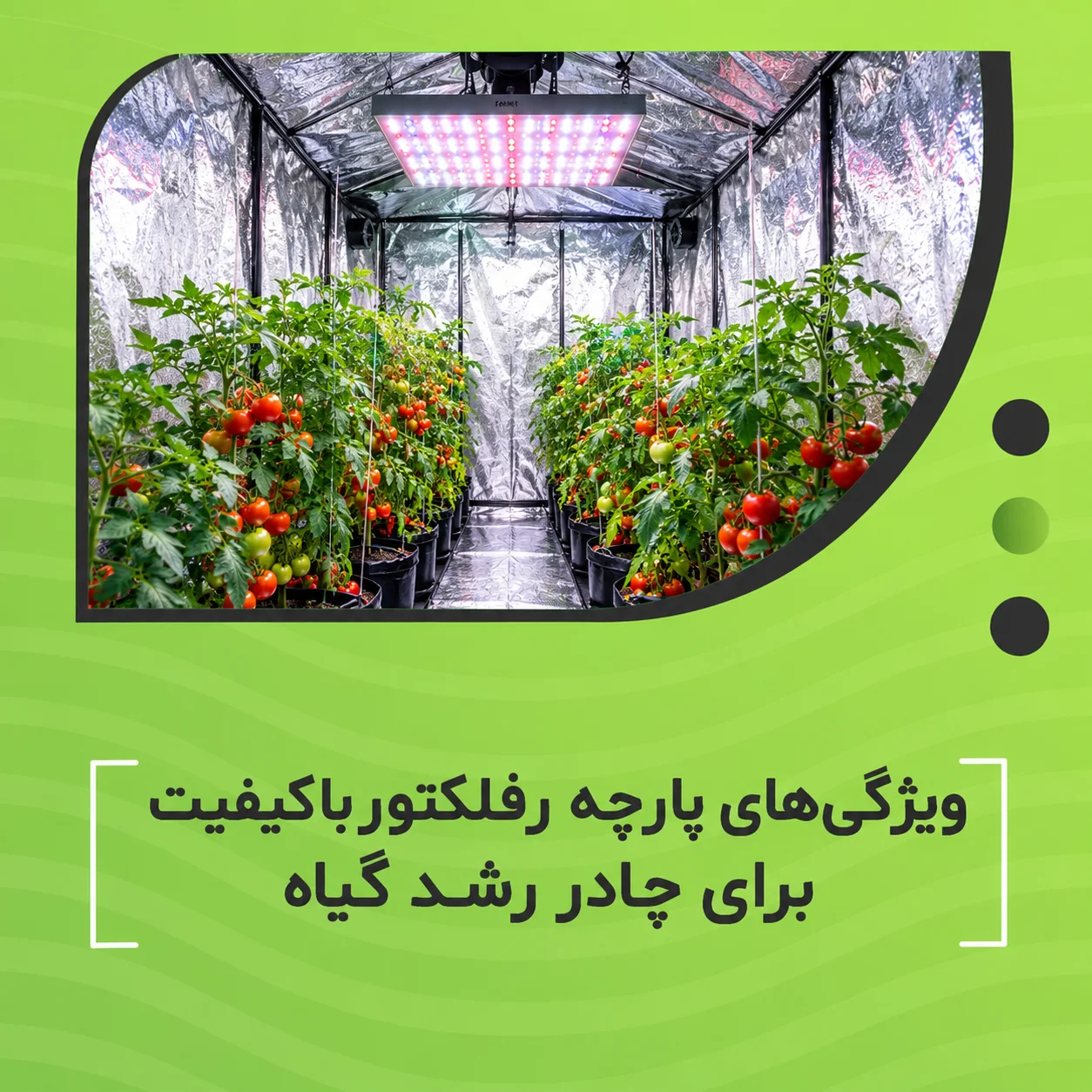 ویژگی‌های پارچه رفلکتور باکیفیت برای چادر رشد گیاه