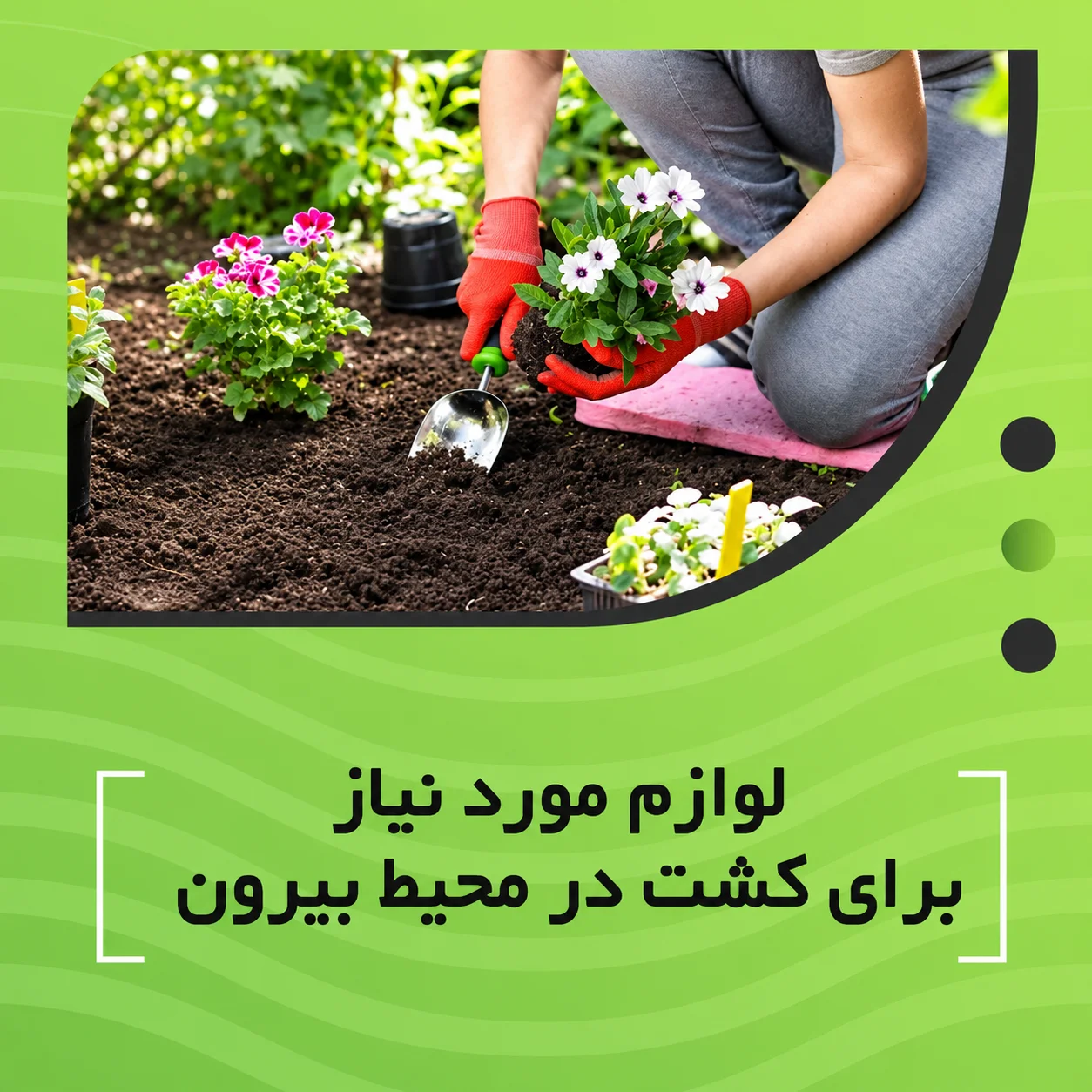 لوازم مورد نیاز برای کشت در محیط بیرون