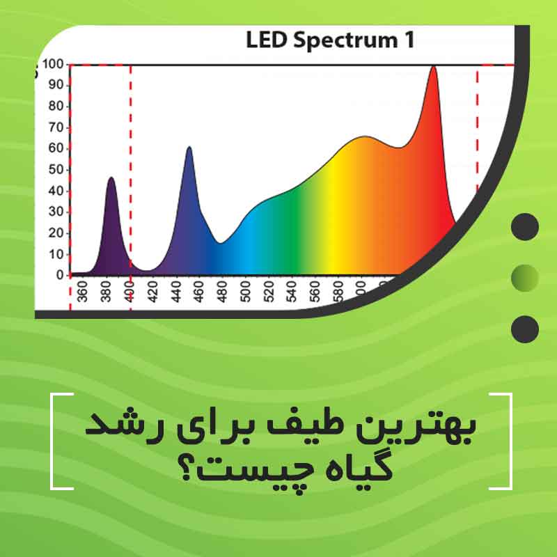 بهترین طیف برای رشد گیاه چیست؟