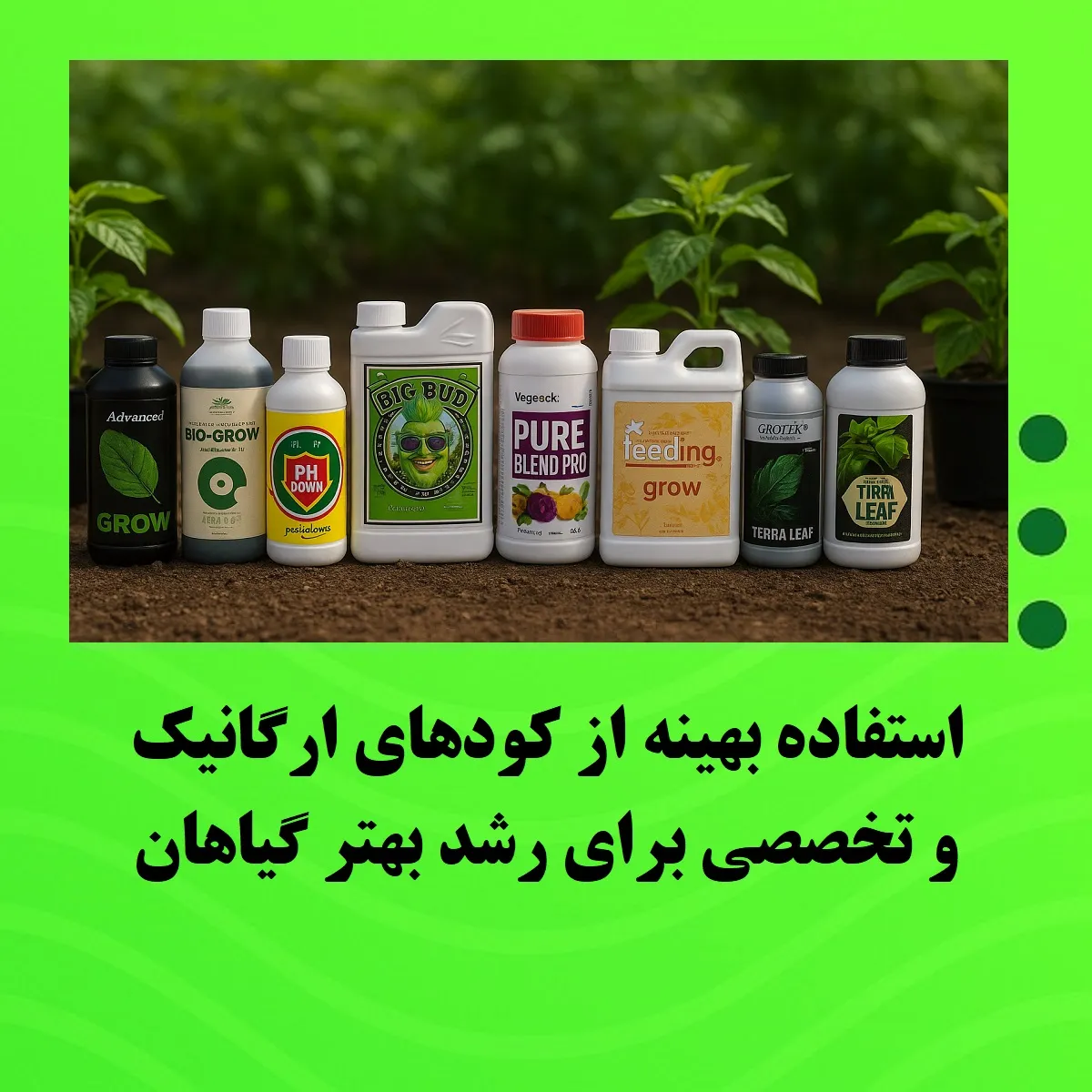 استفاده بهینه از کودهای ارگانیک و تخصصی برای رشد بهتر گیاهان