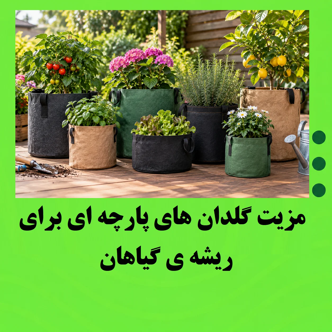 مزیت گلدان های پارچه ای برای ریشه ی گیاهان