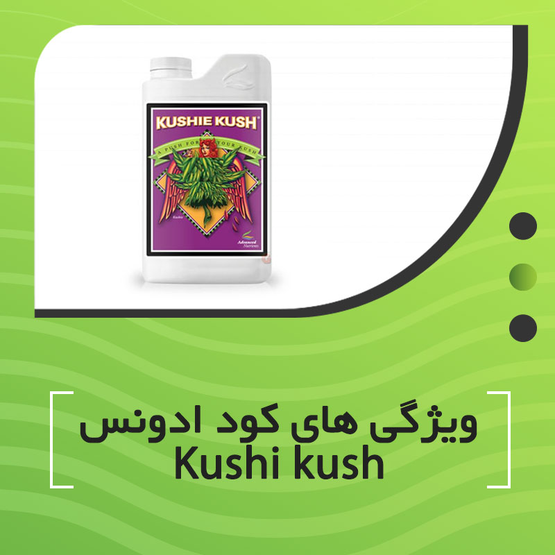 ویژگی های کود ادونس Kushie Kush