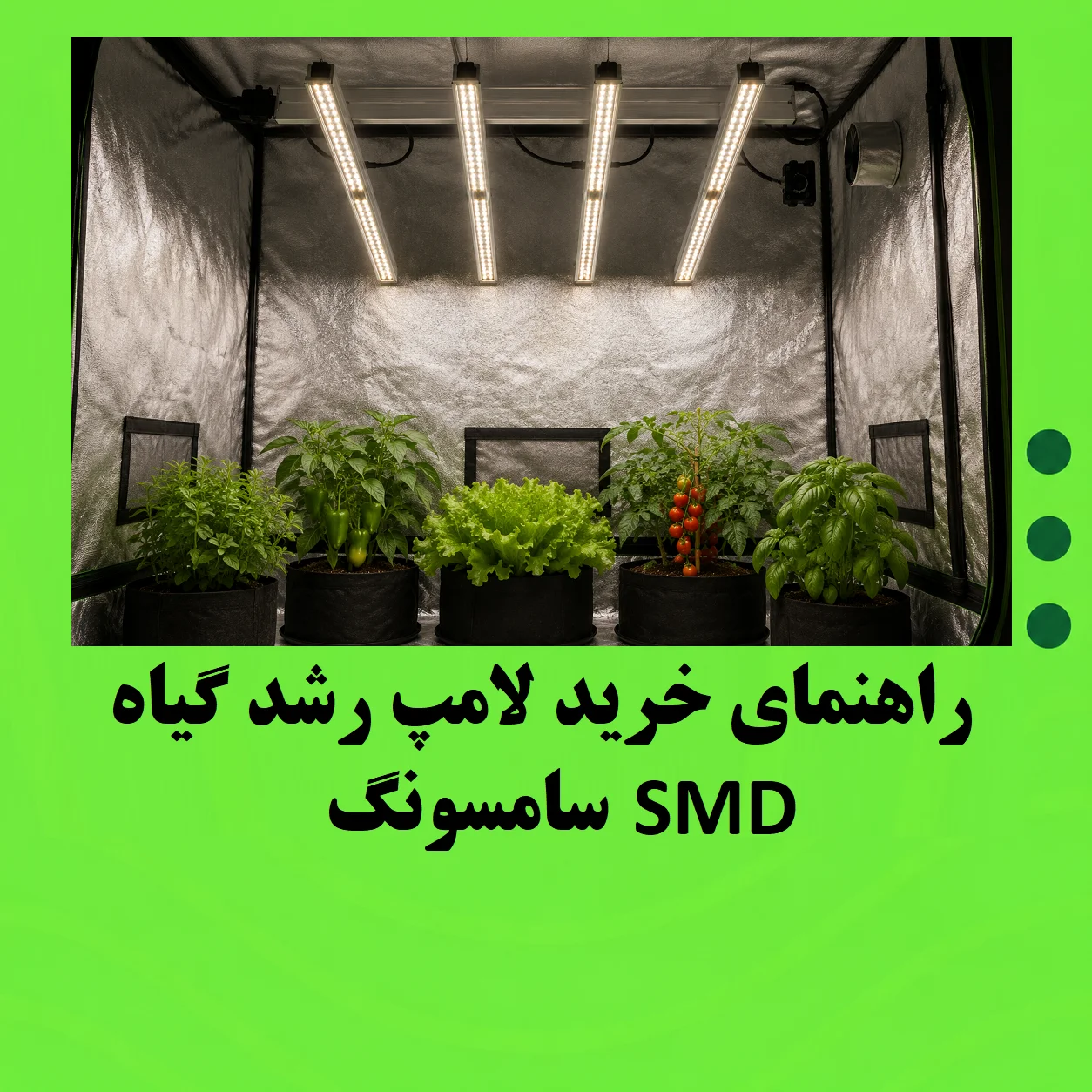 راهنمای خرید لامپ رشد گیاه SMD سامسونگ؛ از توان مصرفی تا پوشش نوری