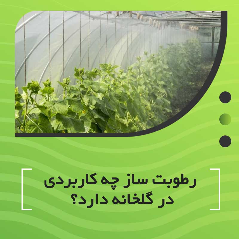 رطوبت ساز چه کاربردی در گلخانه دارد؟