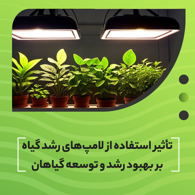 تأثیر استفاده از لامپ‌های رشد گیاه بر بهبود رشد و توسعه گیاهان