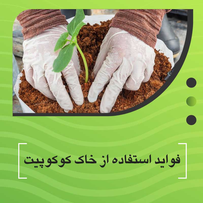 فواید استفاده از خاک کوکوپیت در کشت