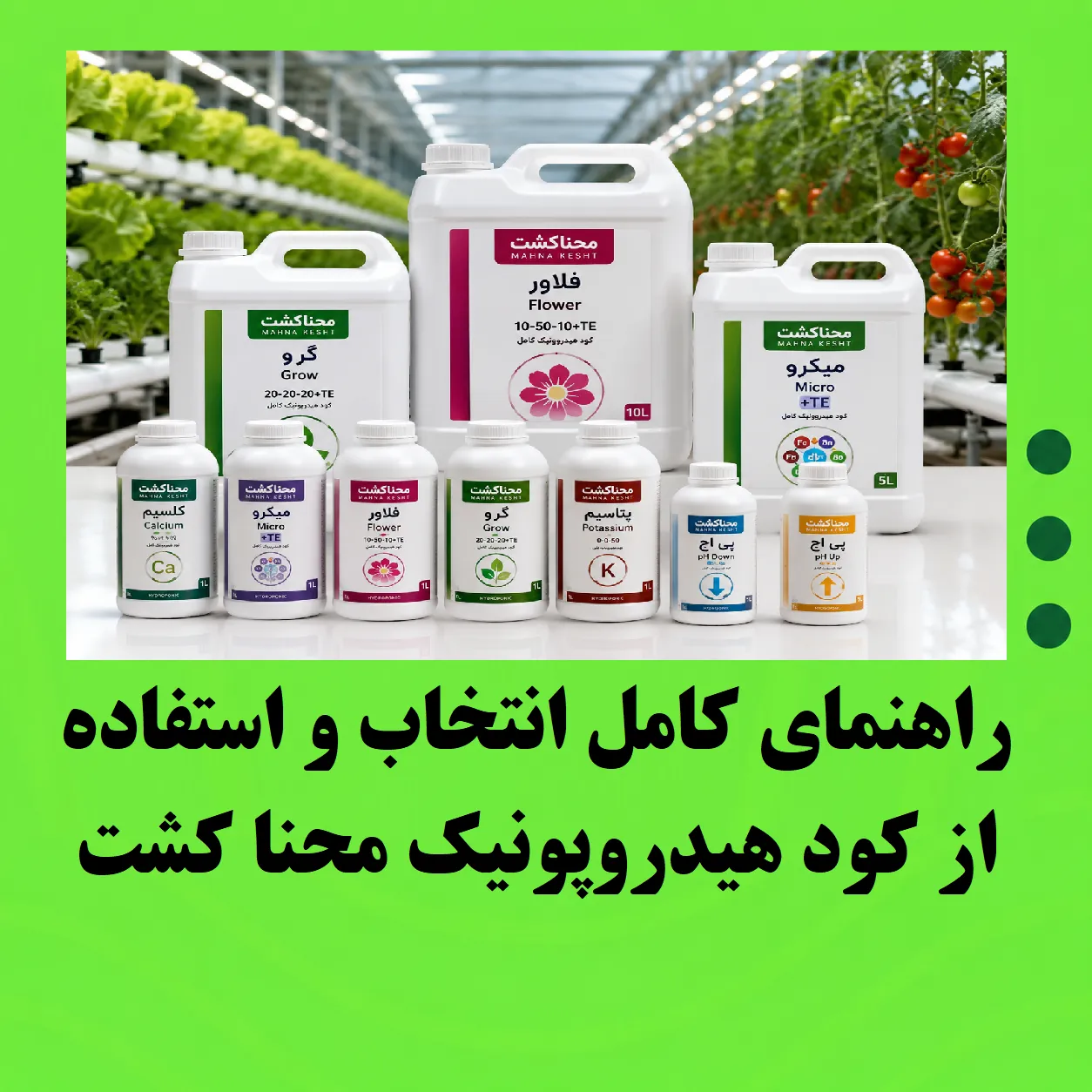 راهنمای کامل انتخاب و استفاده از کود هیدروپونیک محنا کشت