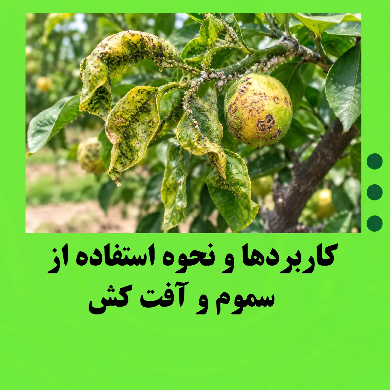 راهنمای کامل کاربردها و نحوه استفاده از سموم و آفت کش