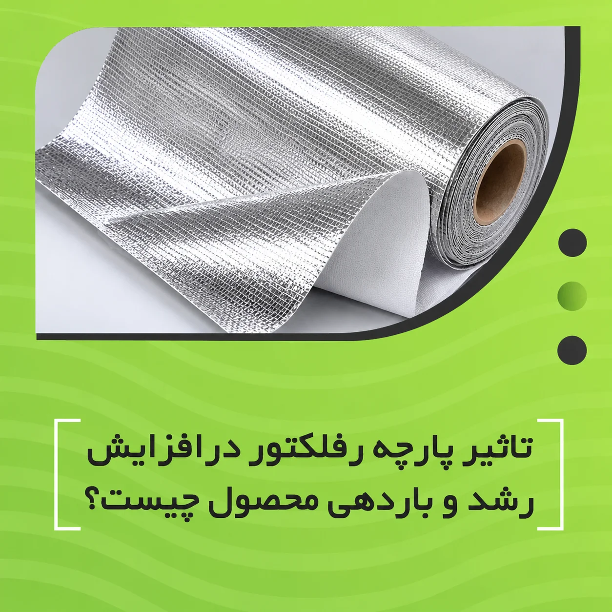 تأثیر پارچه رفلکتور بر افزایش رشد و باردهی محصولات