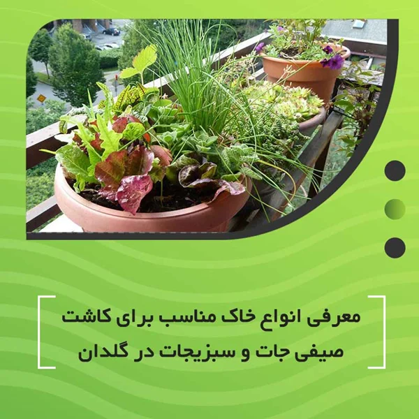 معرفی انواع خاک مناسب برای کاشت صیفی جات و سبزیجات در گلدان