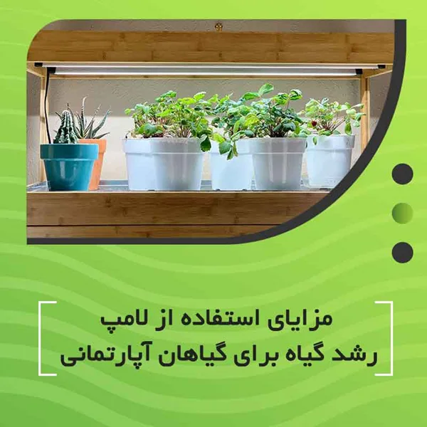 مزایای استفاده از لامپ رشد گیاه برای گیاهان آپارتمانی