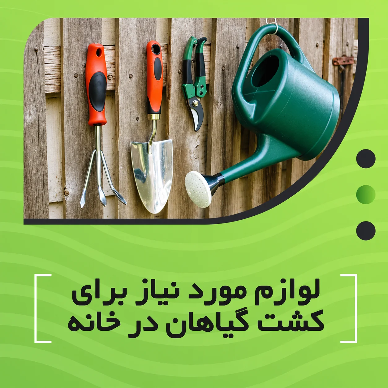 لوازم مورد نیاز برای کشت گیاهان در خانه