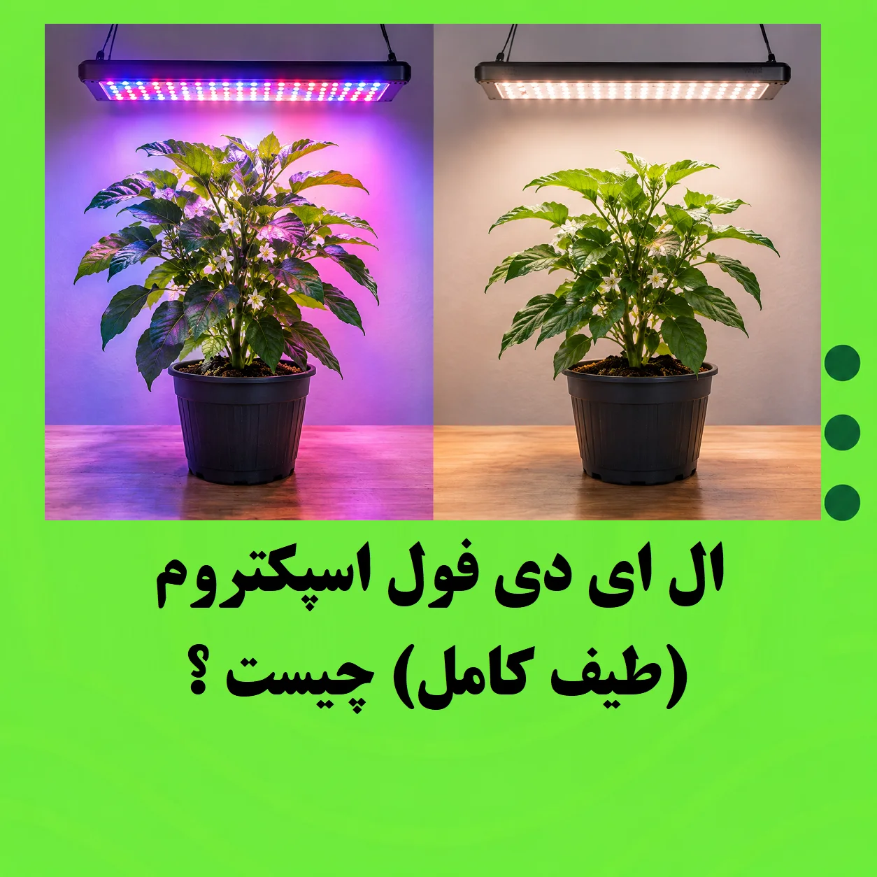 ال ای دی فول اسپکتروم (طیف کامل) چیست ؟