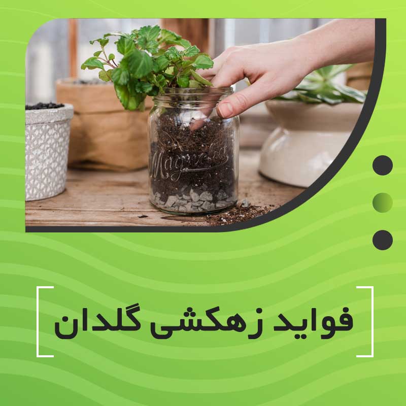 زهکشی گلدان چیست و چگونه انجام می شود ؟