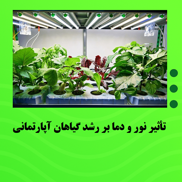 تأثیر نور و دما بر رشد گیاهان آپارتمانی