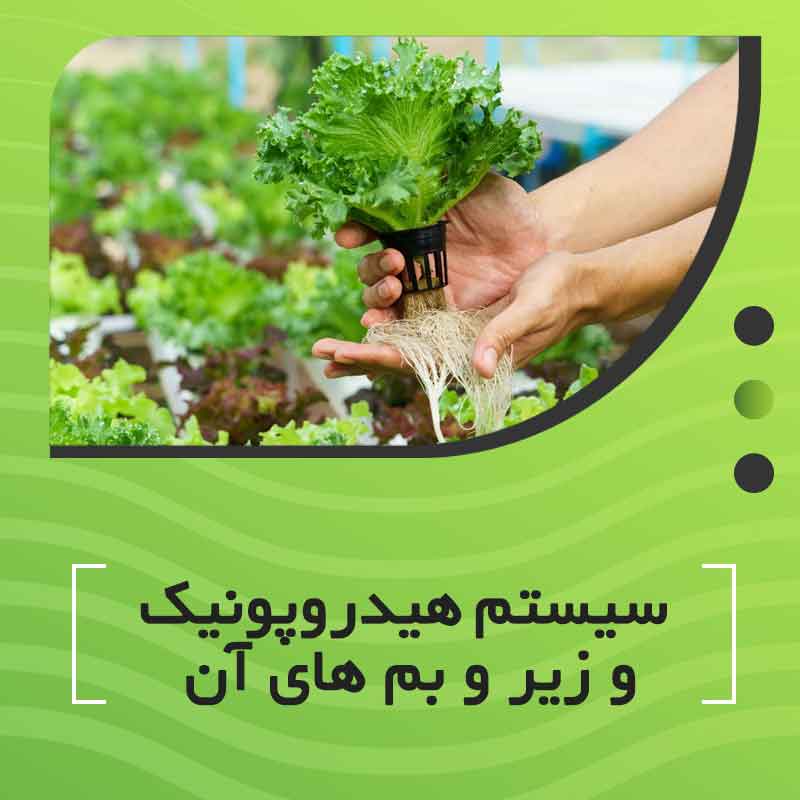 سیستم هیدروپونیک و زیر و بم های آن