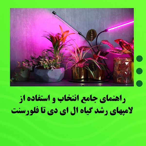 راهنمای جامع انتخاب و استفاده از لامپ‌های رشد گیاه از LED تا فلورسنت