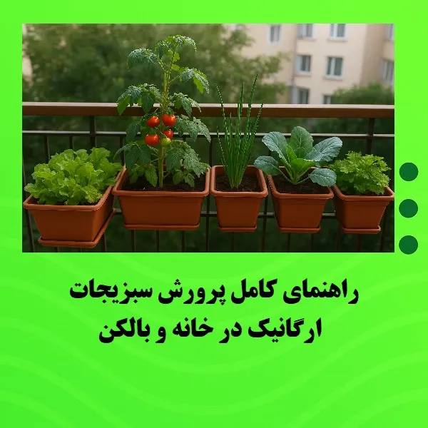 راهنمای کامل پرورش سبزیجات ارگانیک در خانه و بالکن