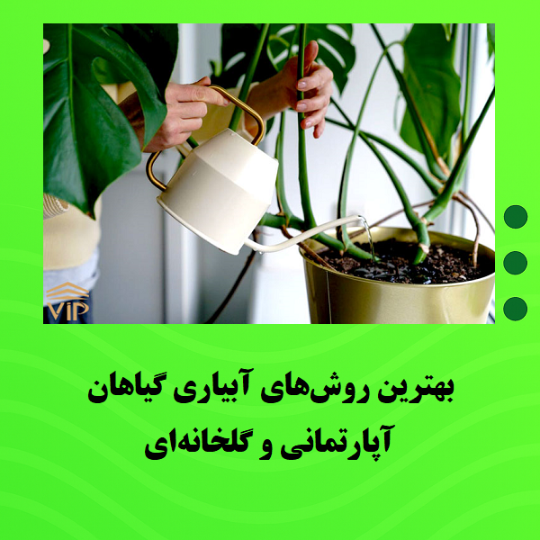 بهترین روش‌های آبیاری گیاهان آپارتمانی و گلخانه‌ای