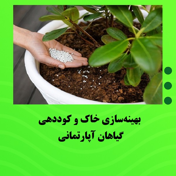 بهینه‌سازی خاک و کوددهی گیاهان آپارتمانی