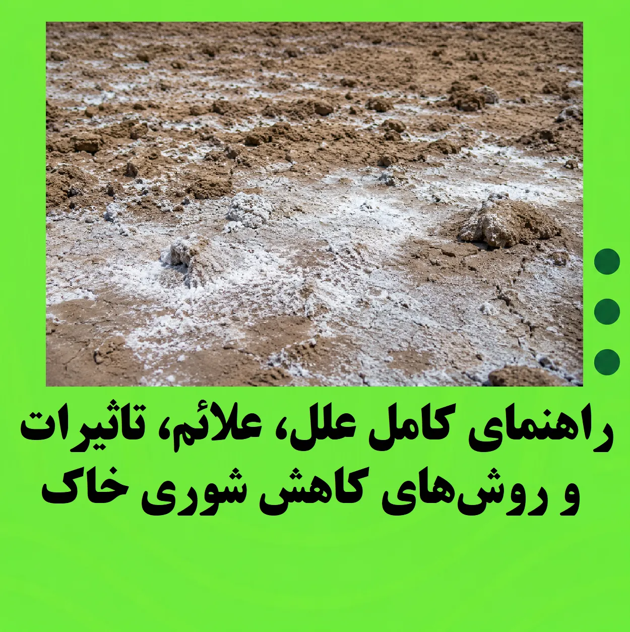 راهنمای کامل علل، علائم، تأثیرات و روش‌های کاهش شوری خاک