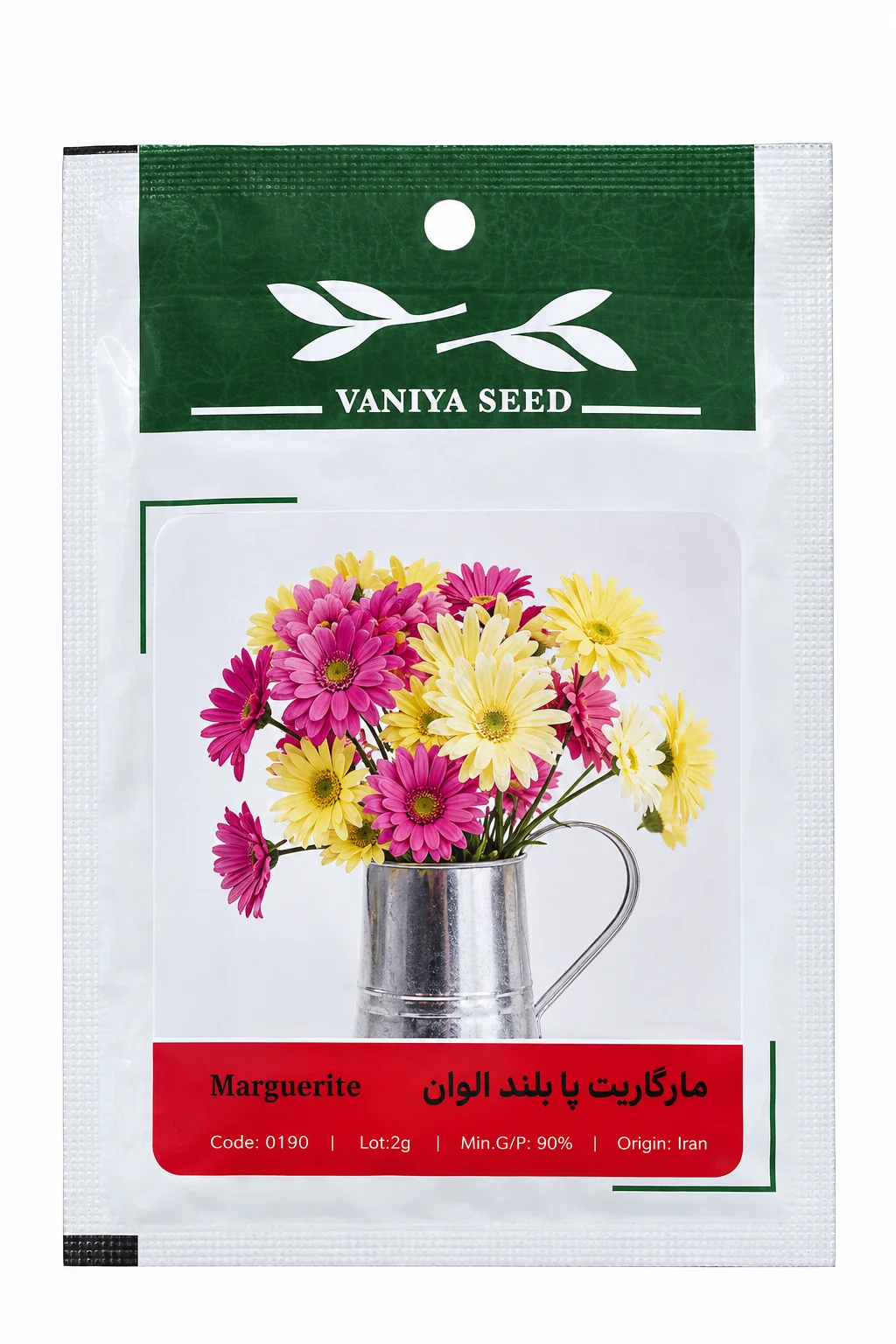 بذر گل مارگاریت پا بلند الوان وانیا