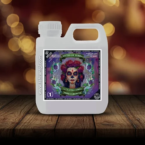 کود لا کالاورا کاترینا ترا پاور | Terra Power - La Calavera Catrina