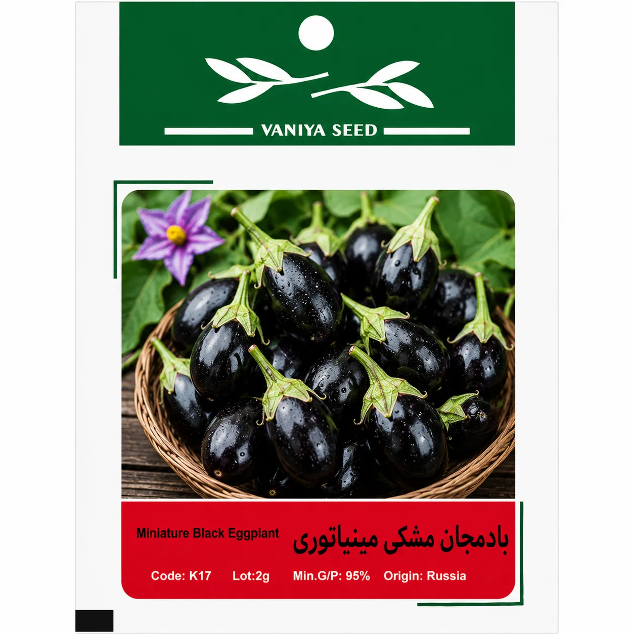 بذر بادمجان مشکی مینیاتوری وانیا