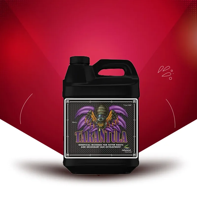 کود ادونس تارانتولا Tarantula