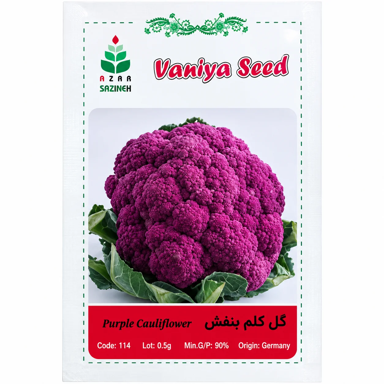 بذر گل کلم بنفش وانیا