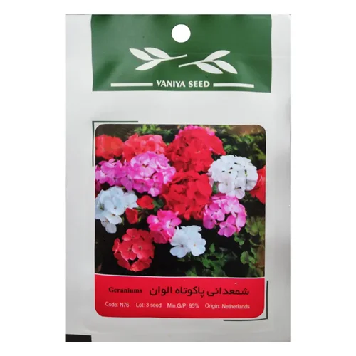 بذر گل شمعدانی پاکوتاه الوان وانیا