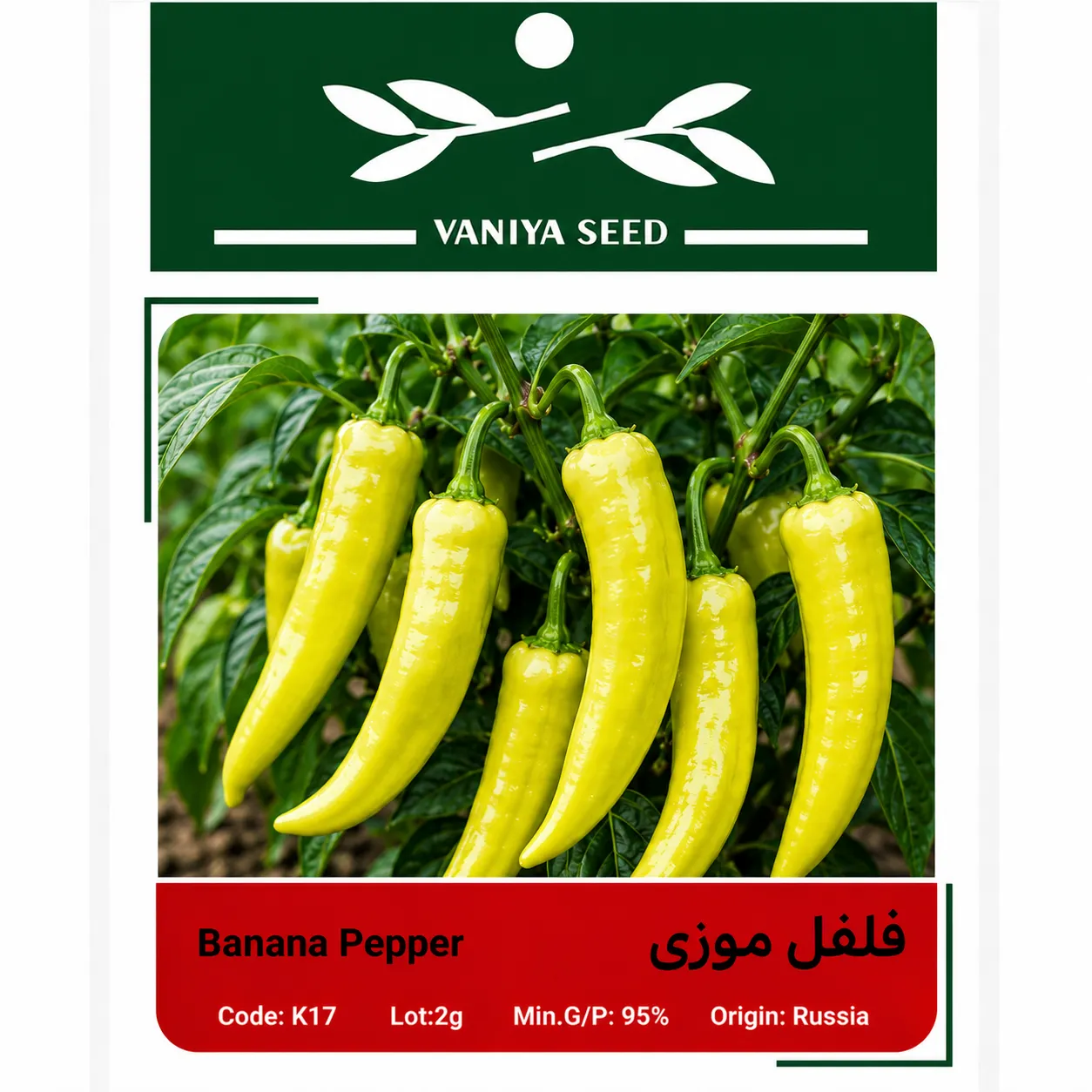 بذر فلفل موزی وانیا