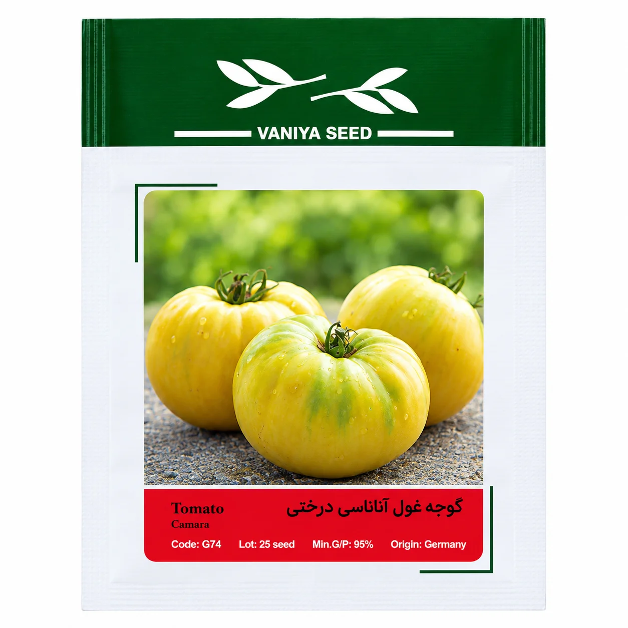 بذر گوجه غول آناناسی درختی وانیا