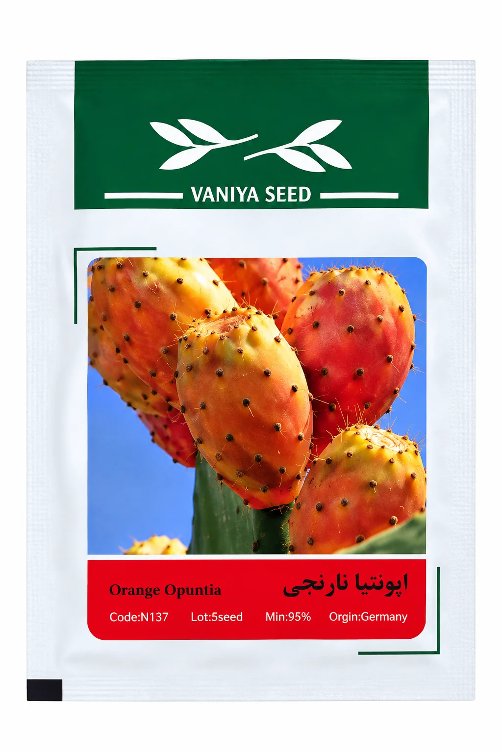 بذر اپونتیا نارنجی وانیا