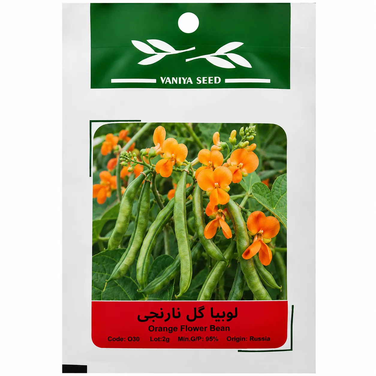 بذر لوبیا گل نارنجی وانیا