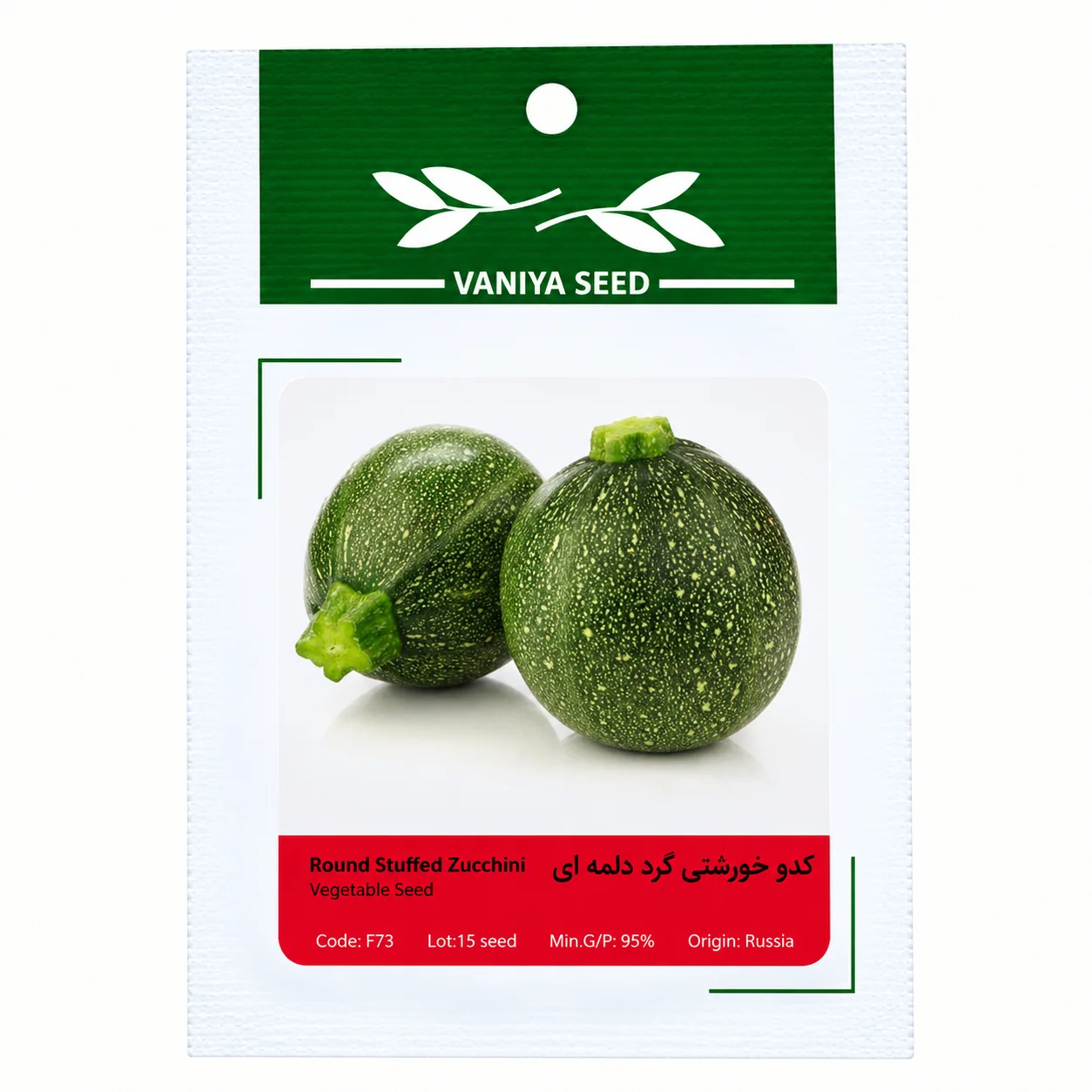 بذر کدو خورشتی گرد دلمه ای وانیا