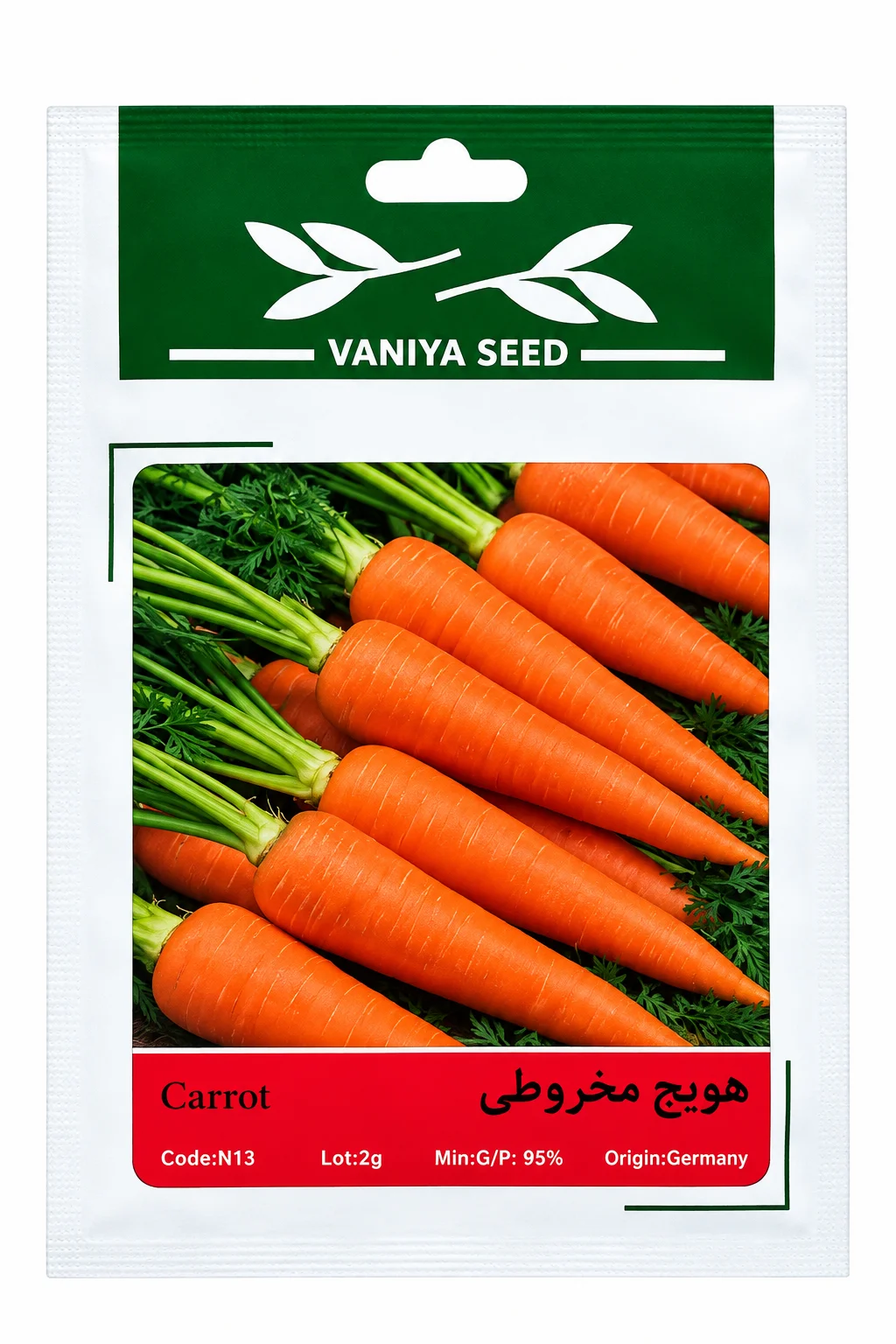 بذر هویج مخروطی وانیا